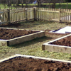 Vegtable Garden