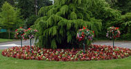Commercial Planting Bath